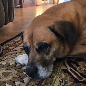 Meet your Posher, Juli